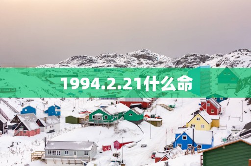 1994.2.21什么命