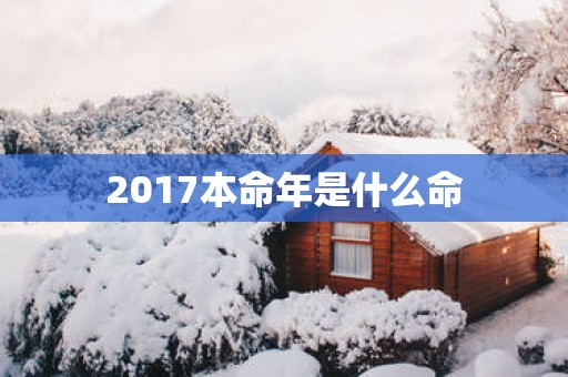 2017本命年是什么命