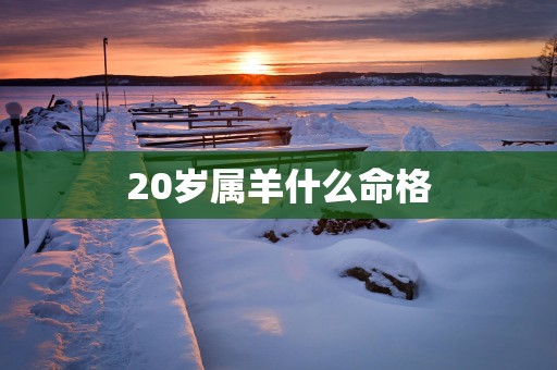 20岁属羊什么命格