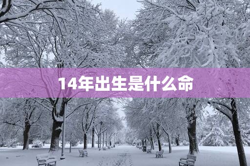 14年出生是什么命