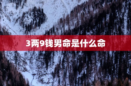 3两9钱男命是什么命