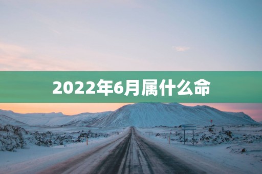 2025年6月属什么命