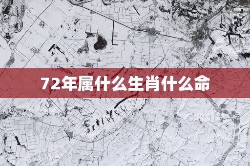 72年属什么生肖什么命