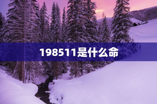 198511是什么命