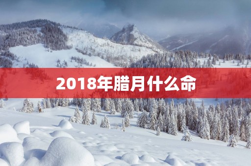 2018年腊月什么命