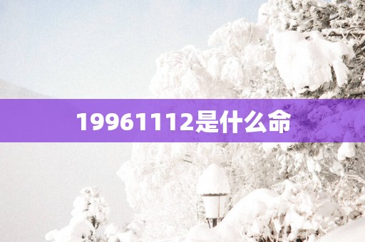 19961112是什么命