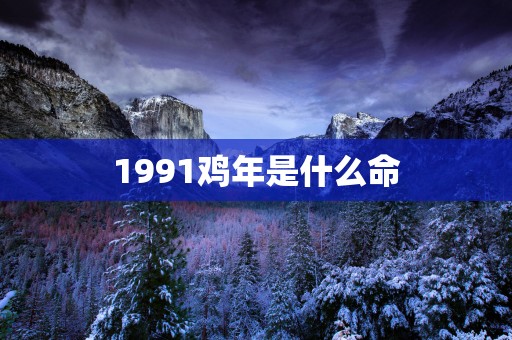 1991鸡年是什么命