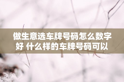 做生意选车牌号码怎么数字好 什么样的车牌号码可以旺财旺运
