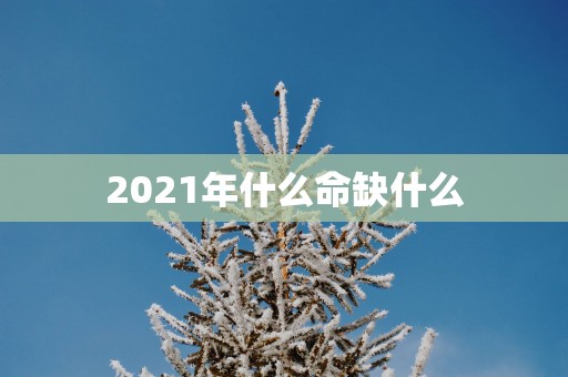 2025年什么命缺什么
