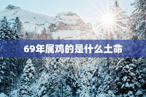 69年属鸡的是什么土命