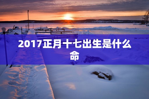 2017正月十七出生是什么命
