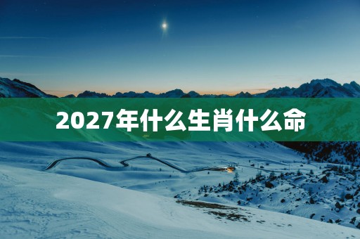 2027年什么生肖什么命
