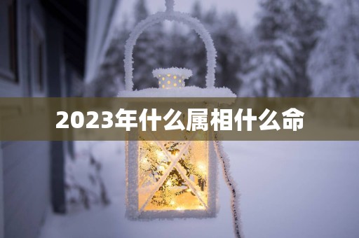 2025年什么属相什么命