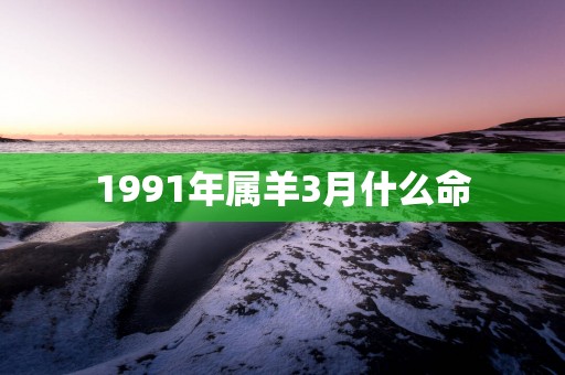 1991年属羊3月什么命
