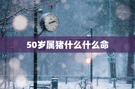 50岁属猪什么什么命