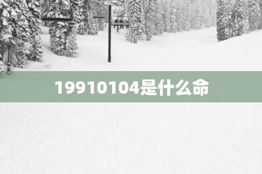 19910104是什么命