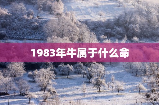 1983年牛属于什么命