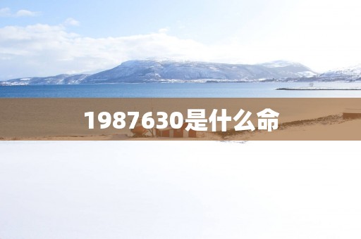 1987630是什么命