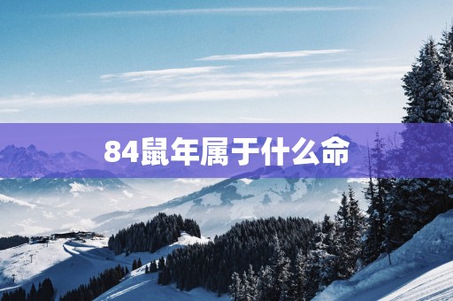 84蛇年属于什么命