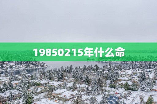 19850215年什么命