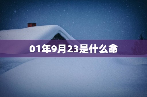 01年9月23是什么命