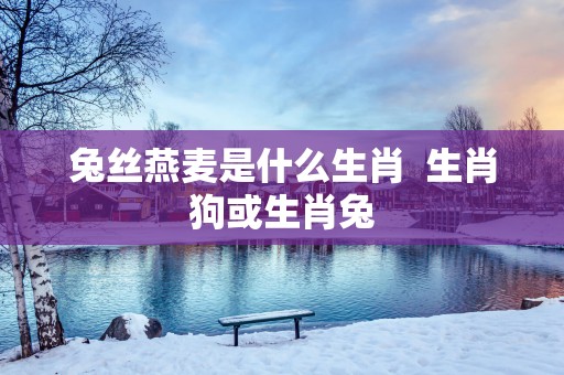 兔丝燕麦是什么生肖  生肖狗或生肖兔