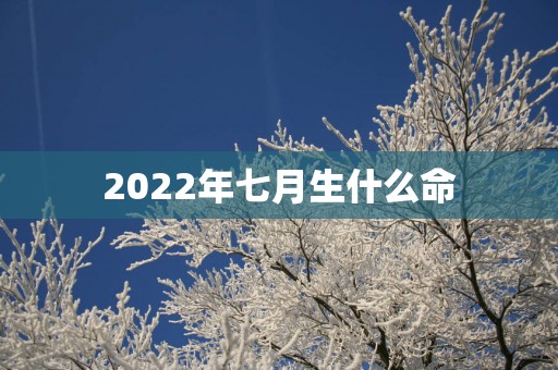 2025年七月生什么命
