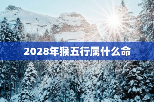 2028年猴五行属什么命