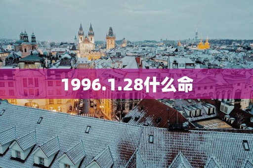 1996.1.28什么命