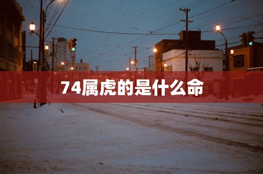 74属虎的是什么命