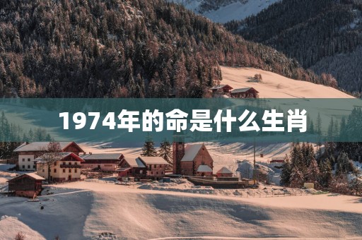 1974年的命是什么生肖