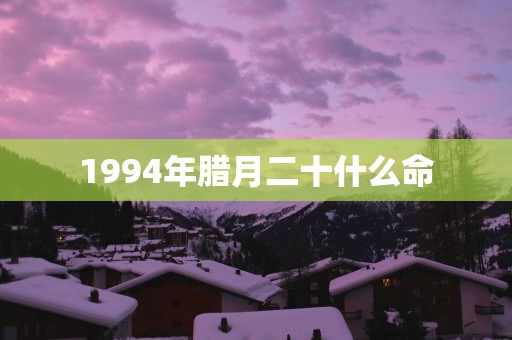 1994年腊月二十什么命