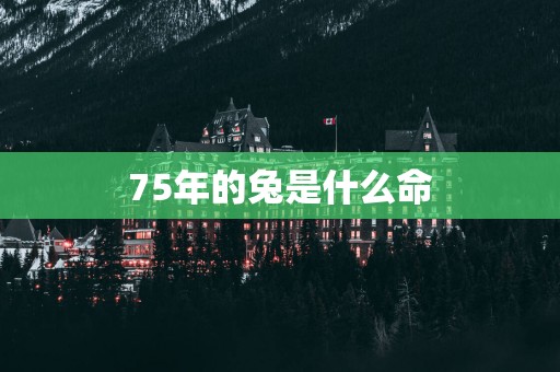 75年的兔是什么命