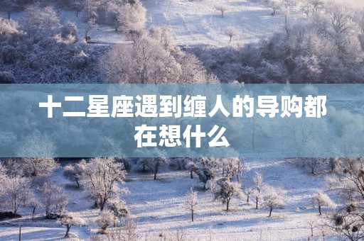 十二星座遇到缠人的导购都在想什么 十二星座遇到缠人的导购都在想什么