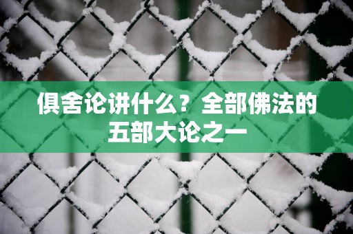 俱舍论讲什么？全部佛法的五部大论之一