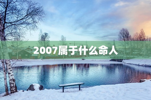 2007属于什么命人