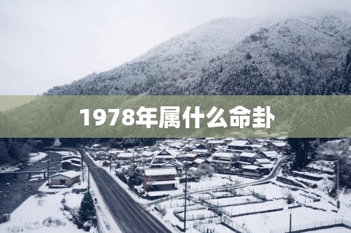 1978年属什么命卦