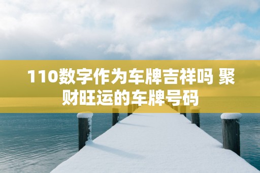 110数字作为车牌吉祥吗 聚财旺运的车牌号码