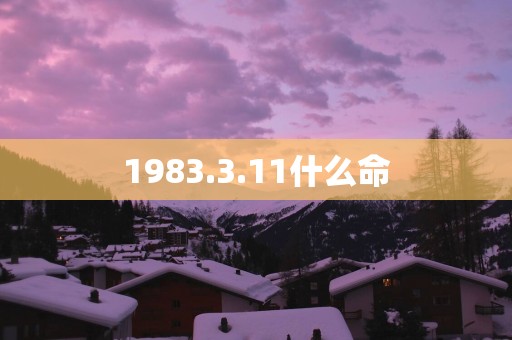 1983.3.11什么命