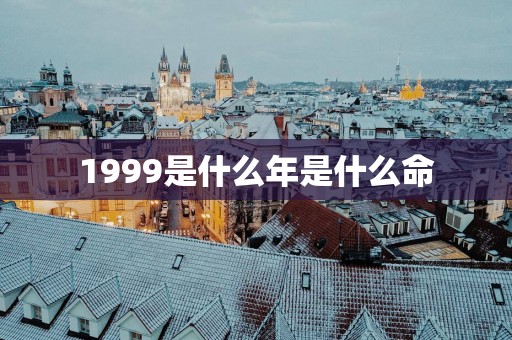 1999是什么年是什么命