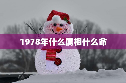 1978年什么属相什么命