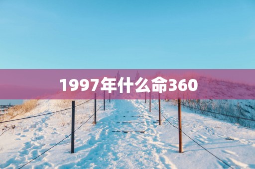 1997年什么命360