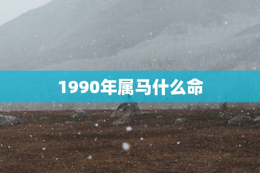 1990年属马什么命
