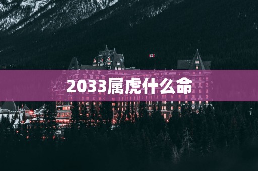 2033属虎什么命