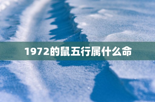 1972的鼠五行属什么命