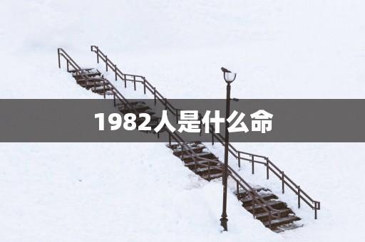1982人是什么命