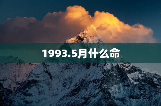 1993.5月什么命