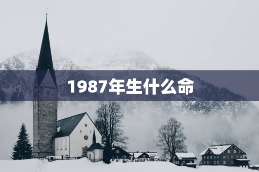 1987年生什么命