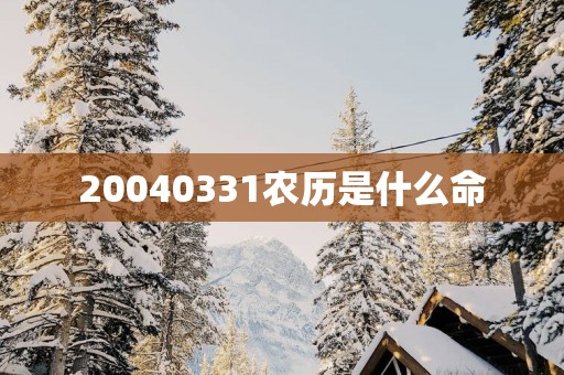 20040331农历是什么命