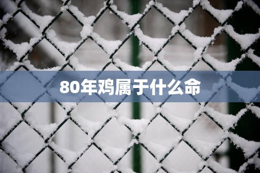 80年鸡属于什么命